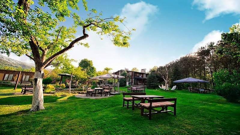 Bed and Breakfast Sapanca Tas Ev Darica  Екстер'єр фото